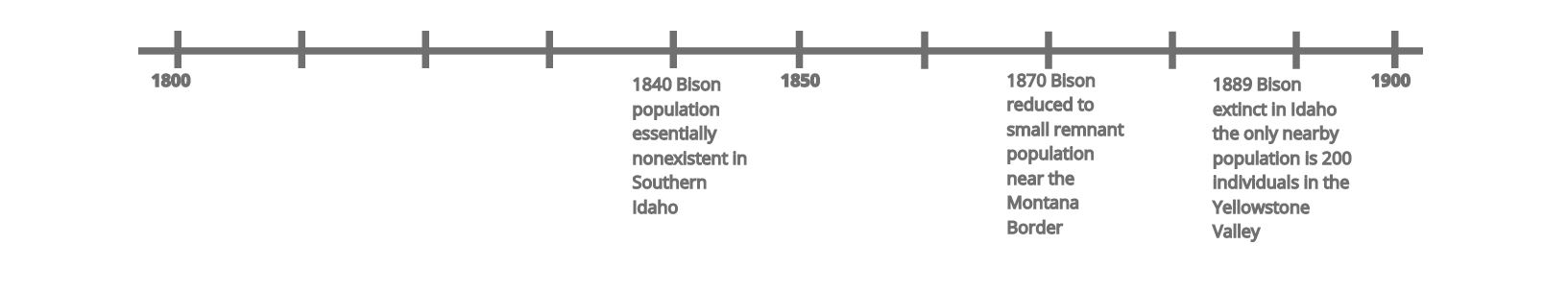 timeline