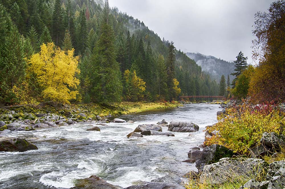 river scene